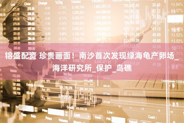 镕盛配资 珍贵画面！南沙首次发现绿海龟产卵场_海洋研究所_保护_岛礁