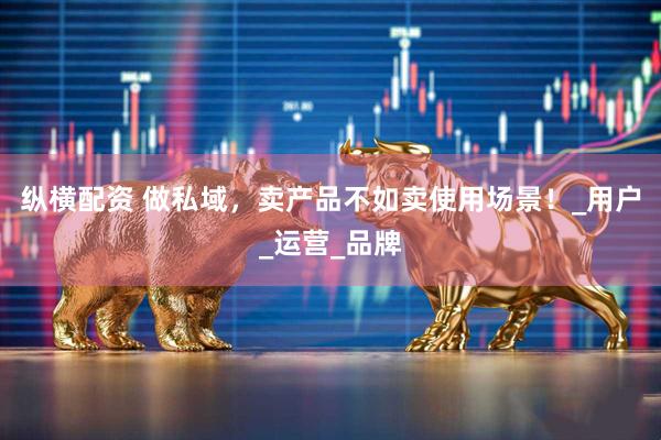 纵横配资 做私域，卖产品不如卖使用场景！_用户_运营_品牌