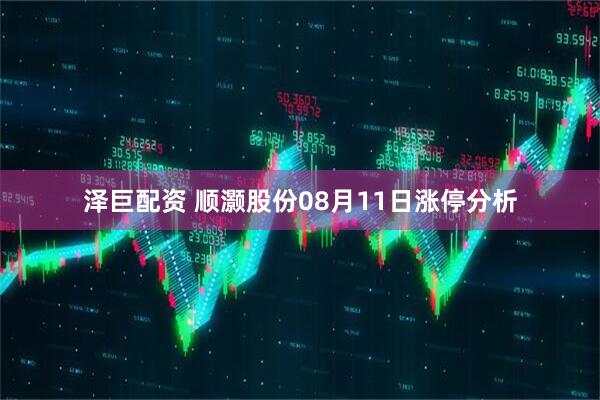 泽巨配资 顺灏股份08月11日涨停分析