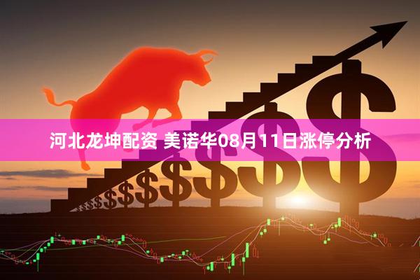 河北龙坤配资 美诺华08月11日涨停分析